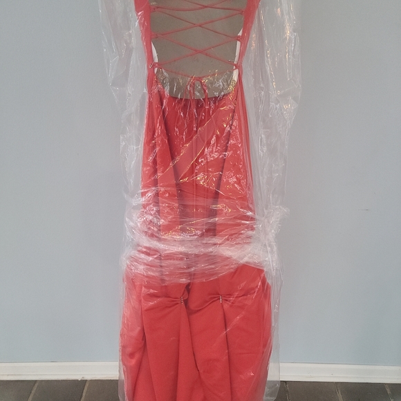 Prom dress (dry cleaned) - Picture 3 of 4